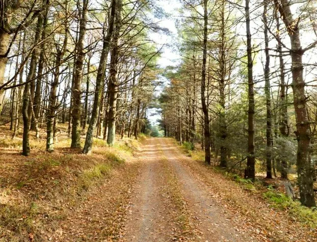 Lodges at Buffalo Mountain- 168 private acres hotel detail image 2