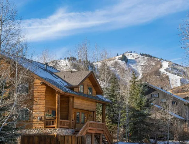 Timberwolf Lodge Unit 11a hotel detail image 4