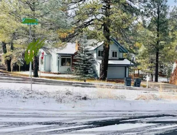 Stay at the Spacious and Stunning Pinecone Lodge! Privacy! Dogs Ok! hotel detail image 2