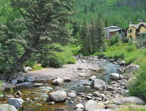 Grand Hyatt Vail Hotel Room With King Bed hotel detail image 4