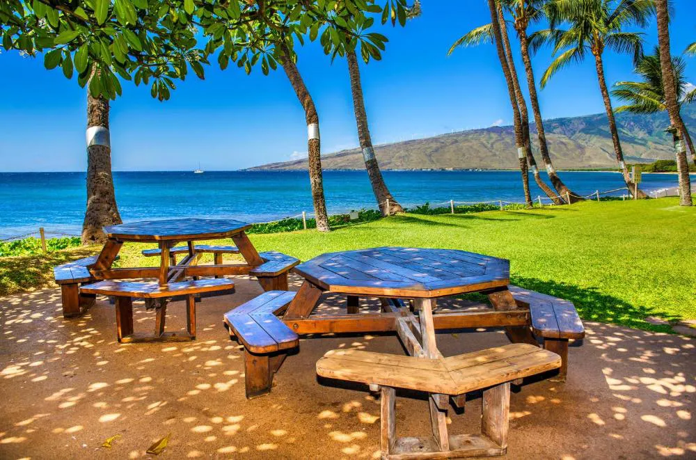 Kealia Resort 501 hotel hero