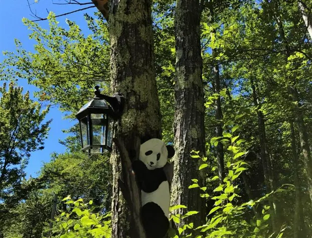 Mink Hollow Lodge hotel detail image 3