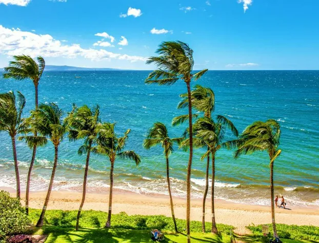 Kealia Resort 602 hotel detail image 2