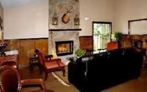 Deer Ridge Mountain Resort A301 hotel detail image 2