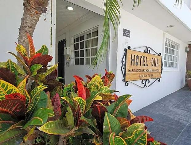 DNA Cancun Hotel y Posada hotel detail image 1