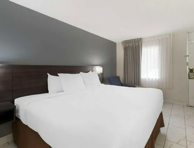 Downtown Inn & Studio Suites hotel detail image 2