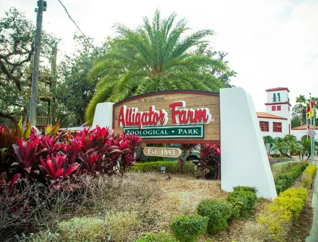 Unit 3223 - Ocean Racquet Resort hotel detail image 1