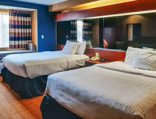 Starkville Inn & Suites hotel detail image 4