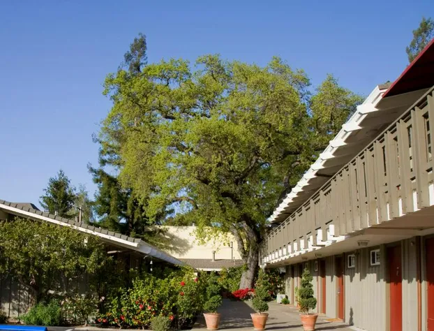 The Cottages Hotel hotel detail image 1