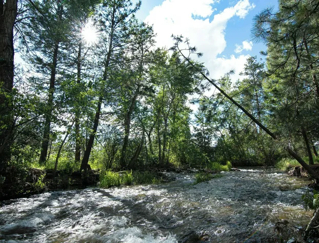 Homewood Suites By Hilton Missoula hotel detail image 3