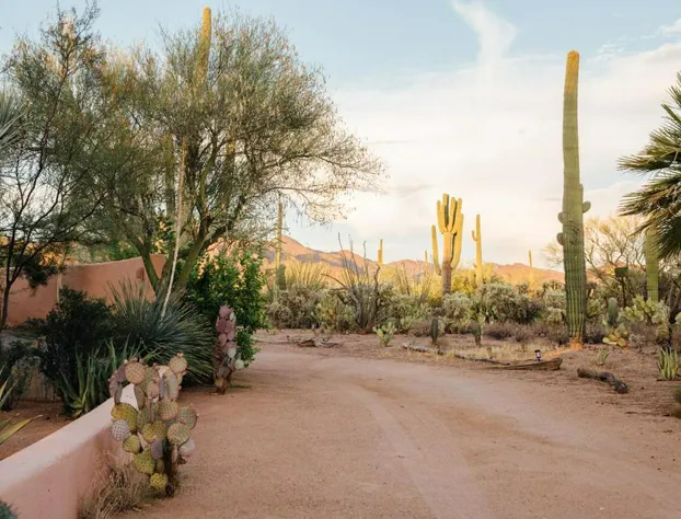 The JTH Tucson hotel detail image 2