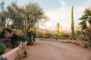 The JTH Tucson hotel detail image 4