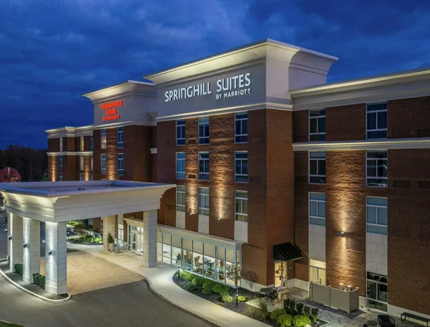 Springhill Suites BY Marriott Canfield hotel detail image 2