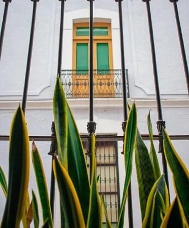 Casa Aspeytia Hotel Boutique hotel hero