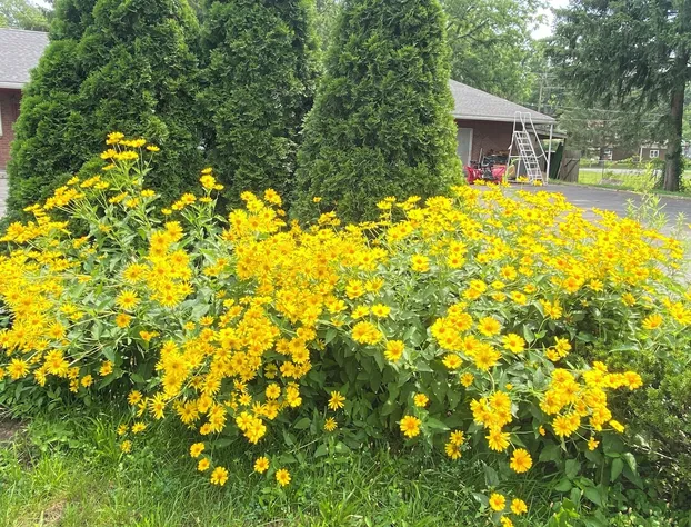 Hudson Valley 9w Motel hotel detail image 2