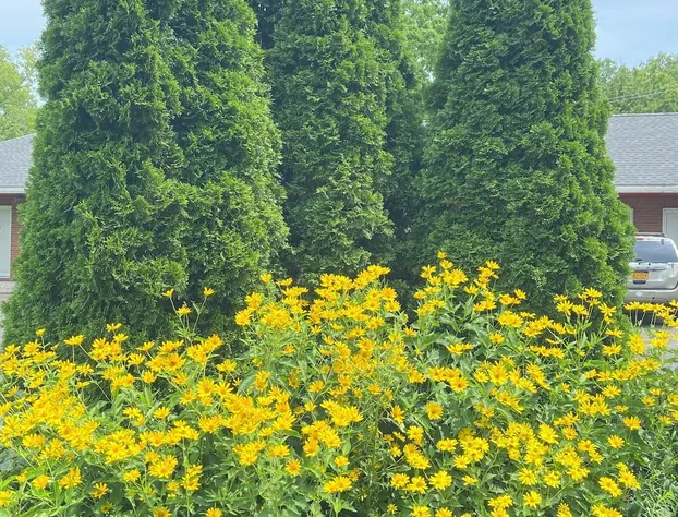 Hudson Valley 9w Motel hotel detail image 3