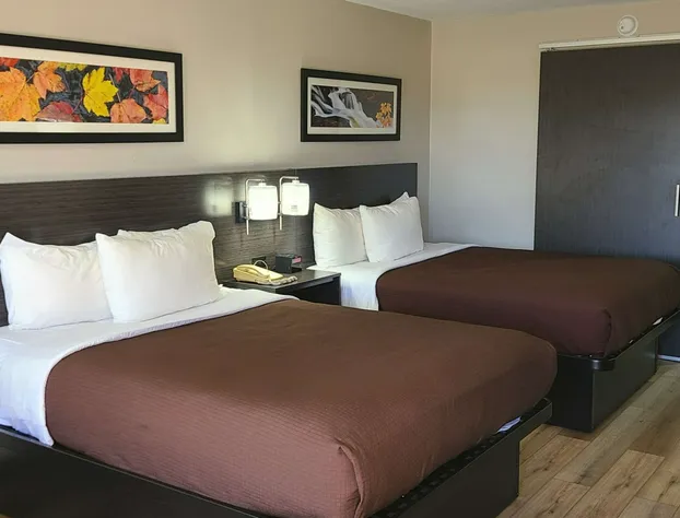 Quality Inn & Suites hotel detail image 1