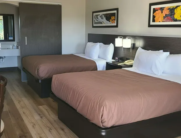 Quality Inn & Suites hotel detail image 3