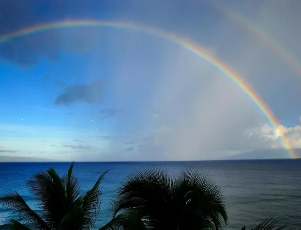 Mahana 804 hotel detail image 2