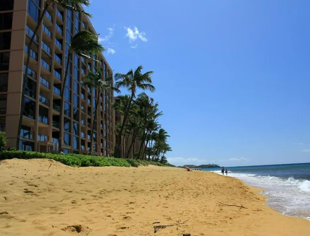 Mahana 804 hotel detail image 3