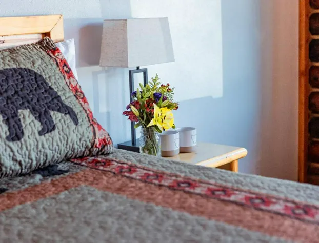 Big Medicine Cabins hotel detail image 3