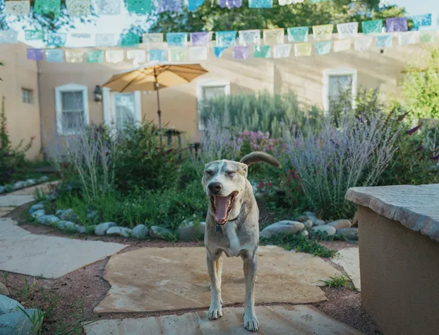 Dos Hermanas Compound 7 Casitas Sleeps 22 hotel detail image 2