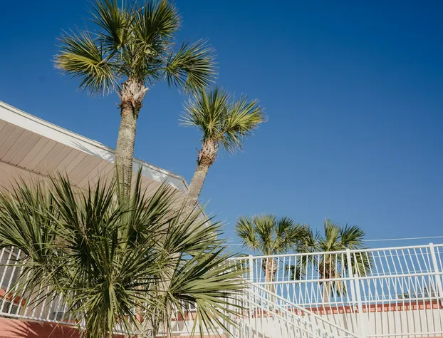 The Local - St. Augustine hotel detail image 2