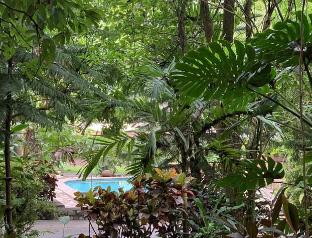 Quilas hotel hotel detail image 2