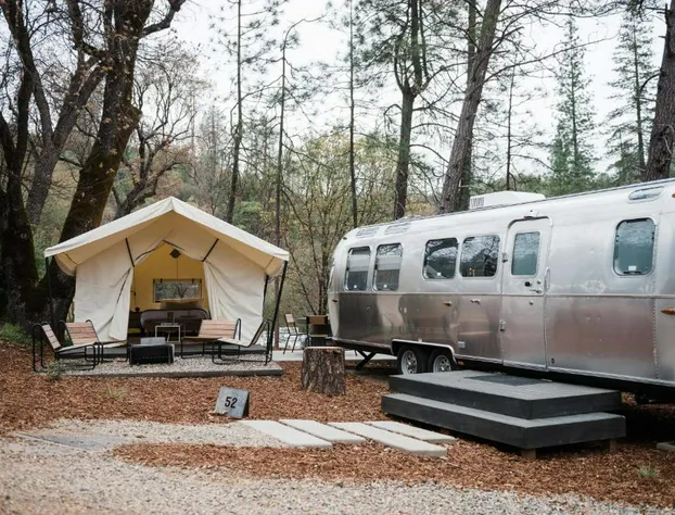 AutoCamp Asheville hotel detail image 3