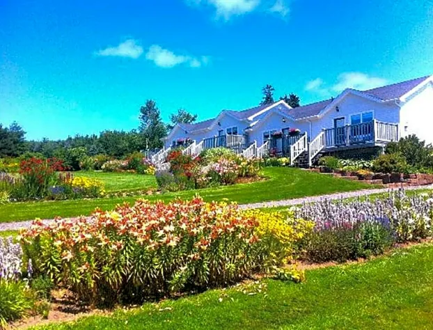 Mysa Nordic Spa and Resort hotel detail image 3