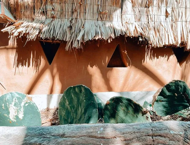 Punta Navi hotel detail image 4