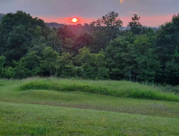 Moonlight Manor Bed and Breakfast hotel detail image 2