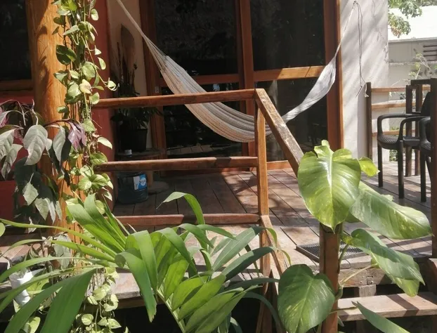 Cabañas Playa Pink Isla Aguada. hotel detail image 3