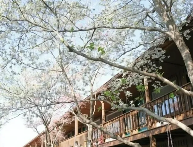 Shady Cliff Resort hotel detail image 2