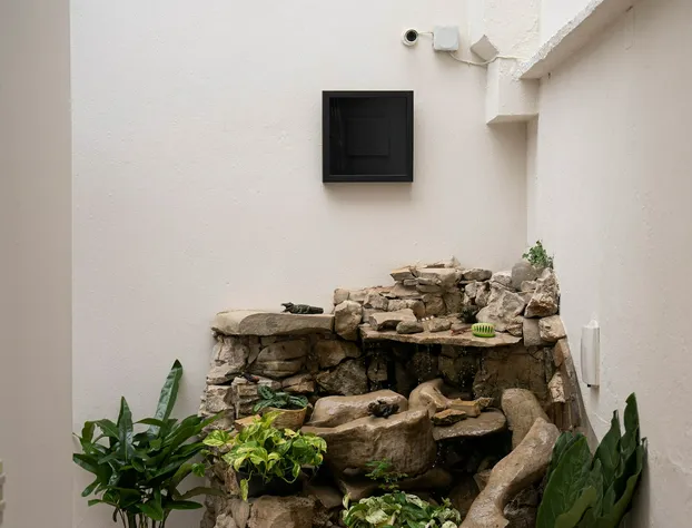 Casa Venus hotel detail image 3