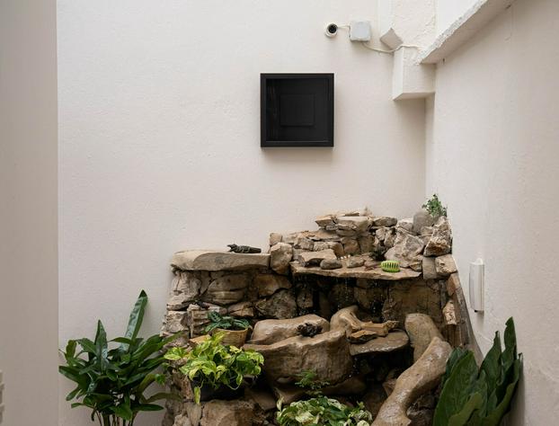 Casa Venus hotel detail image 3