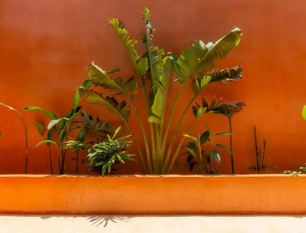 La Alberca Boutique Hotel hotel detail image 4