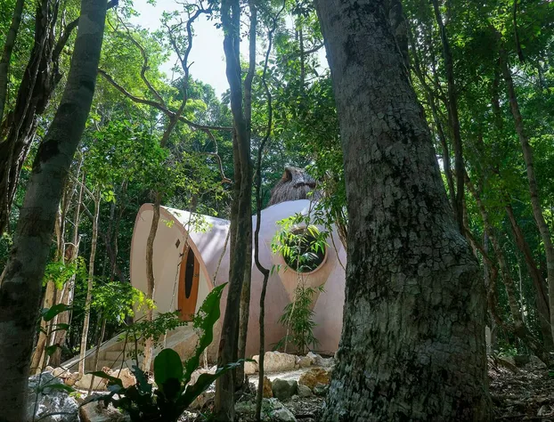 Room in Lodge - Unique Jungle Dome 2 Queen Beds hotel detail image 3