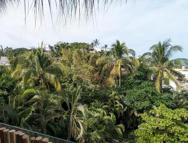 Casa Pepe Hostel Boutique - Sayulita hotel detail image 2