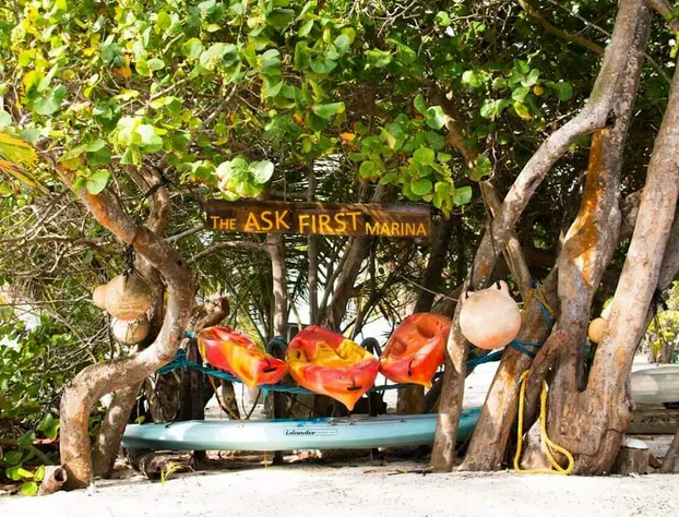 Playa Sonrisa Hotel hotel detail image 3