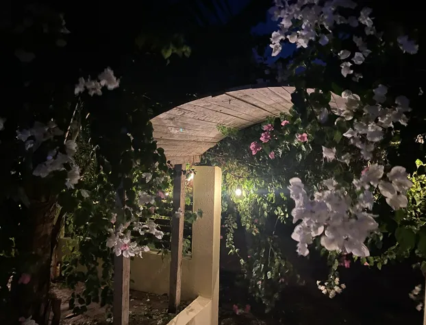 Casa de las Libélulas hotel detail image 4