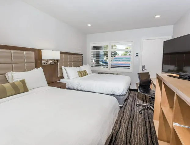 Sather Berkeley, SureStay Collection by Best Western hotel detail image 3