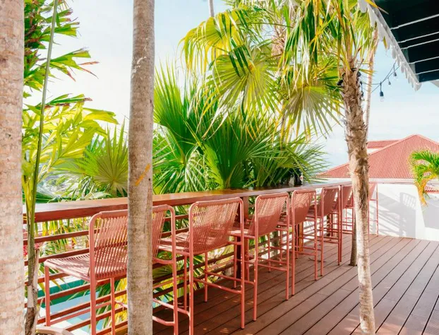 The Pink Palm Hotel - Adults Only hotel detail image 2