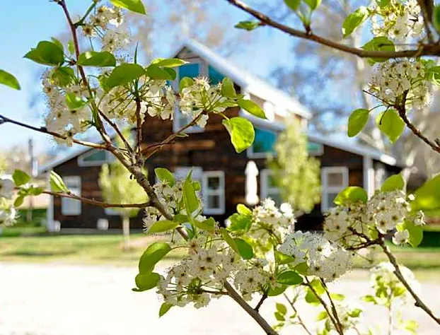 Inn Santa Clara hotel detail image 4