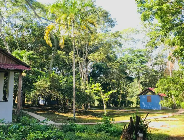 Mango Walk Inn hotel detail image 1