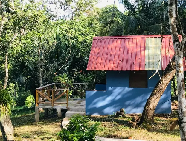 Mango Walk Inn hotel detail image 3