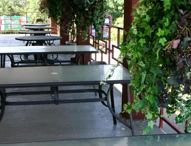 Passion Play Road Inn - Formerly Statue Road Inn hotel detail image 4