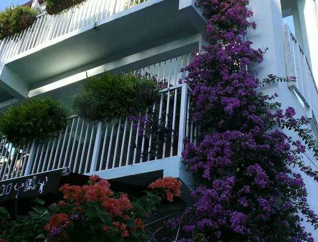 Cruz Bay Boutique Hotel hotel detail image 2