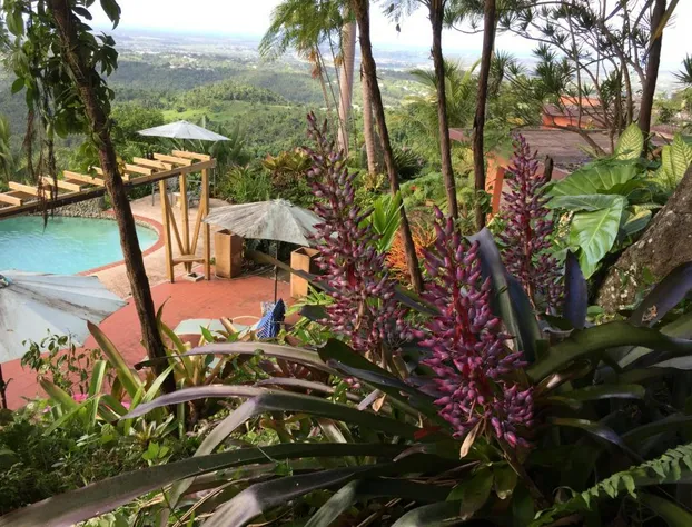 El Pequeño Hotel hotel detail image 1