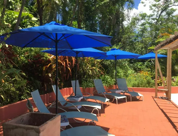 El Pequeño Hotel hotel detail image 2